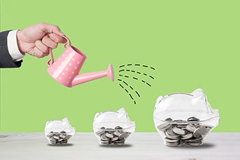 Investment ideas from the India-Australia test series
