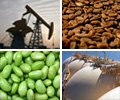 Two commodities with true potential in 2021