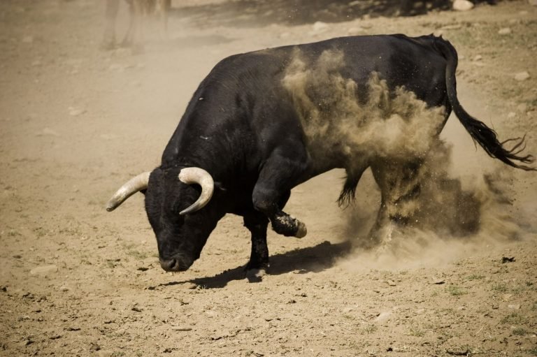 Strategists see more stock market gains through the end of the year Strategists see more stock market gains through the end of the year