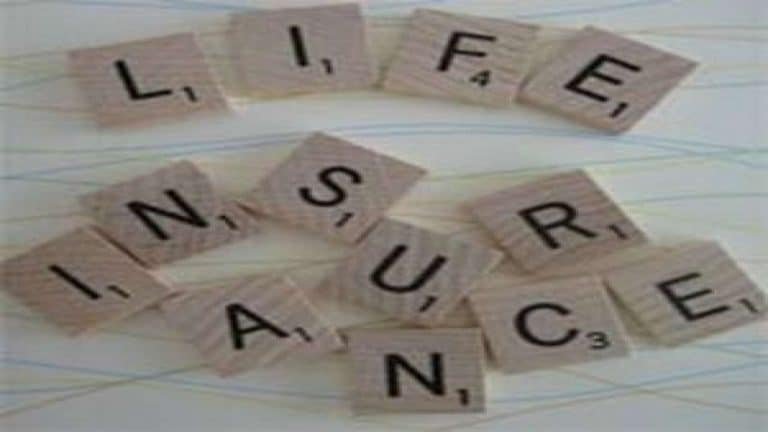 Saral Jeevan Bima: From coverage to benefits; all you need to know about the standard insurance policy