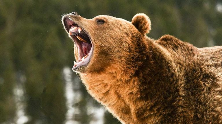 Dow Jones Futures: Market Rally Breaks Support As Treasury Yields Soar; Nvidia, Teladoc, Tesla Flash Sell Signals