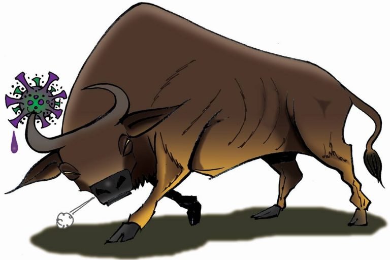 Stock market beats the virus Stock market beats the virus