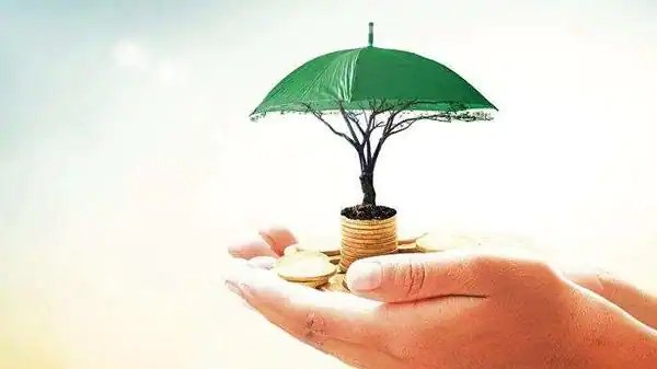 You can buy these standard insurance policies from 1 April