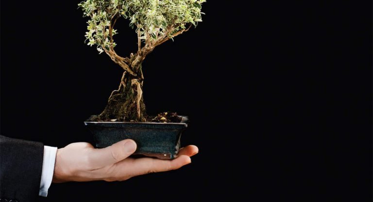 Mutual Fund investment: Should you bet on sectoral or thematic mutual funds? Here is who should invest, when to invest